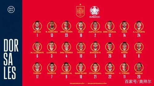 西班牙队2012欧洲杯（西班牙队欧洲杯名单）