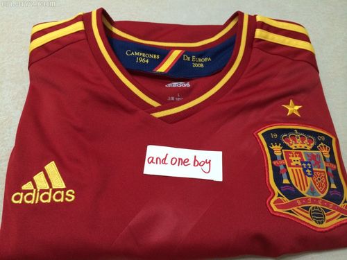 西班牙2012欧洲杯球衣图片（2012西班牙欧洲杯战绩比分）