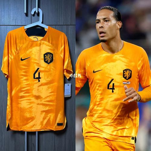 传奇欧洲杯荷兰橙色风暴（荷兰国家队橙色球衣）