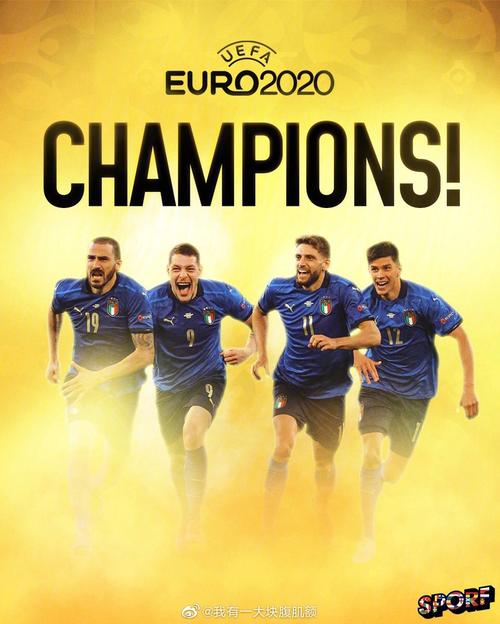 足球赛欧洲杯意大利（欧洲杯意大利比赛结果）