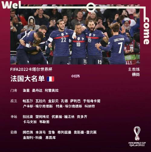 欧洲杯法国点球名单最新（欧洲杯 法国）